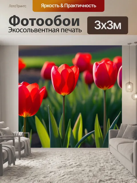 Фотообои тюльпаны в утреннем свете