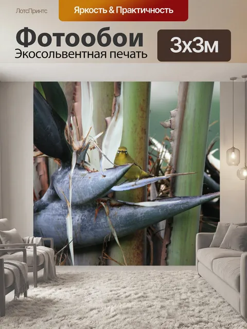 Фотообои желтый белый глазами птицы