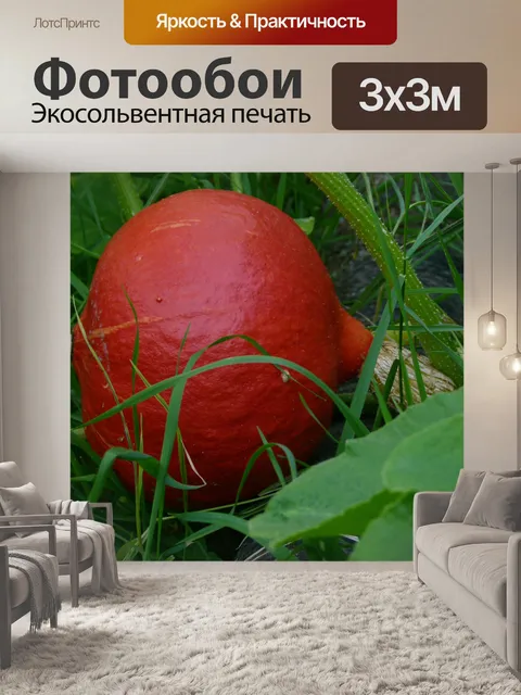 Фотообои Тыква Сквош