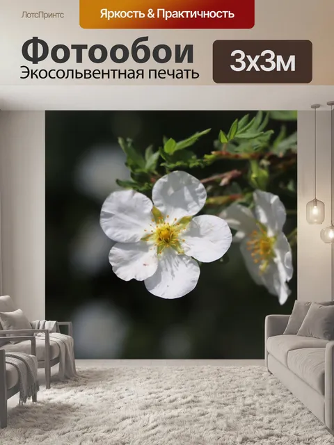 Фотообои Цветок