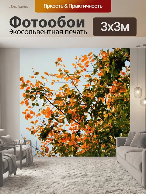 Фотообои Осенние листья