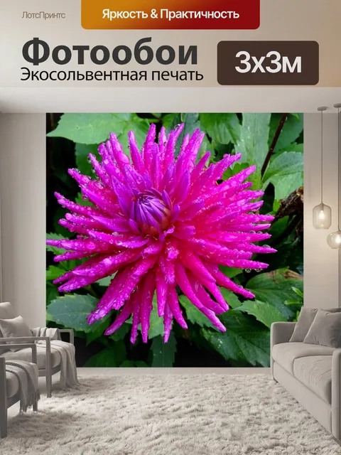 Фотообои Сиреневый розовый цветок с каплями дождя