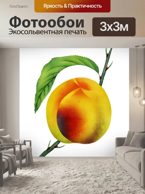 Фотообои Фрукты винтажный персиковый арт