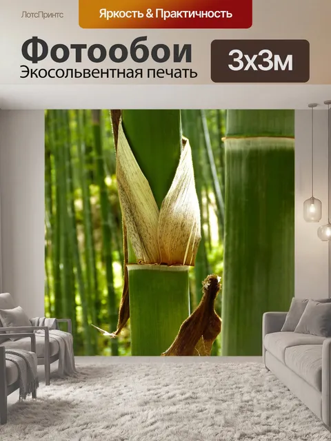 Фотообои Бамбуковый лес