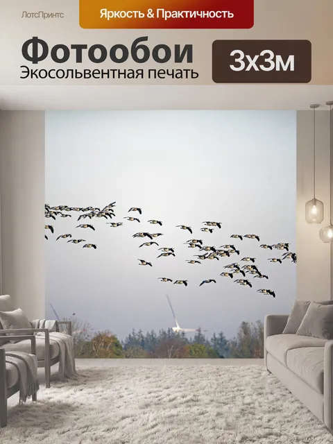 Фотообои Белые гуси