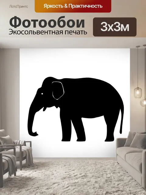 Фотообои Слон