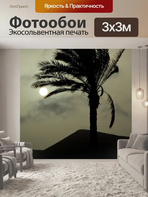 Фотообои Дерево пальмы