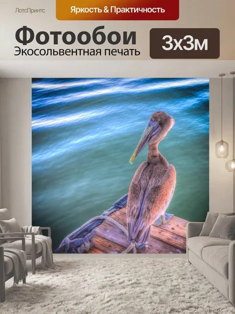 Фотообои Пеликан
