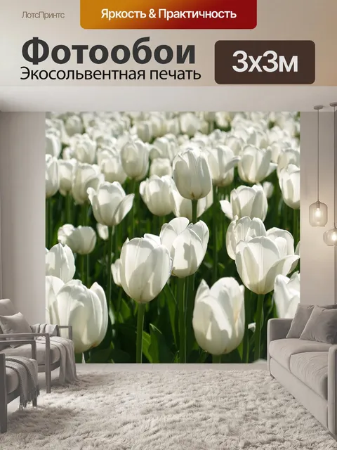 Фотообои Тюльпаны