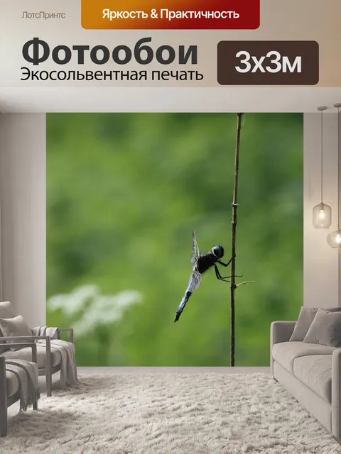 Фотообои Стрекоза