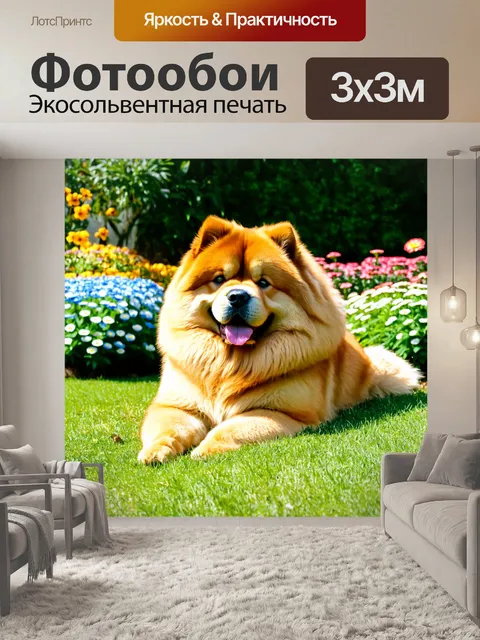 Фотообои чау-чау, примостившийся на солнышке в саду с цветами вокруг