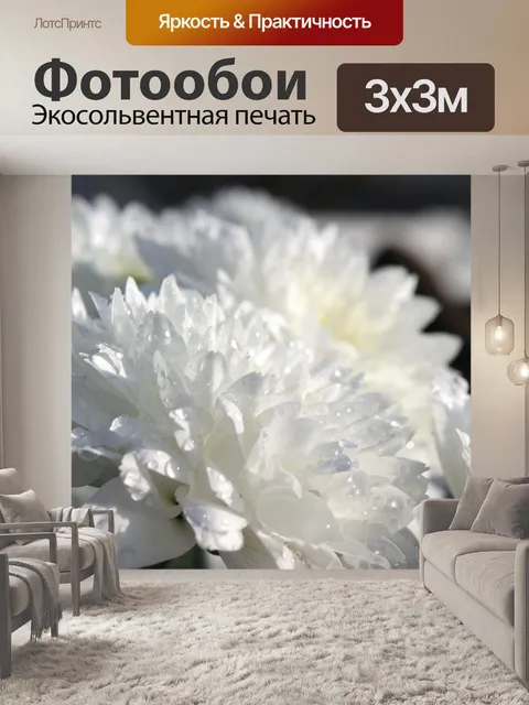Фотообои Хризантемы
