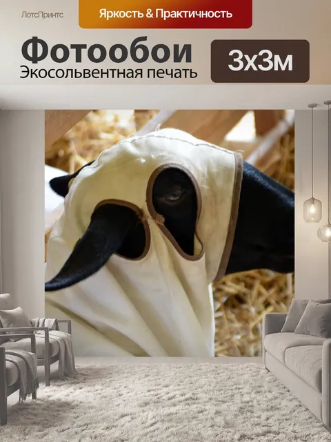 Фотообои Коза с капюшоном