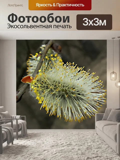 Фотообои Природа