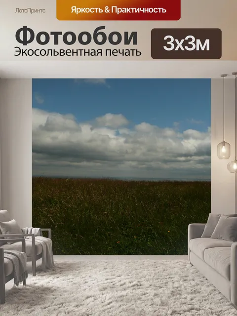 Фотообои Трава и небо