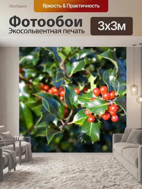 Фотообои Холли