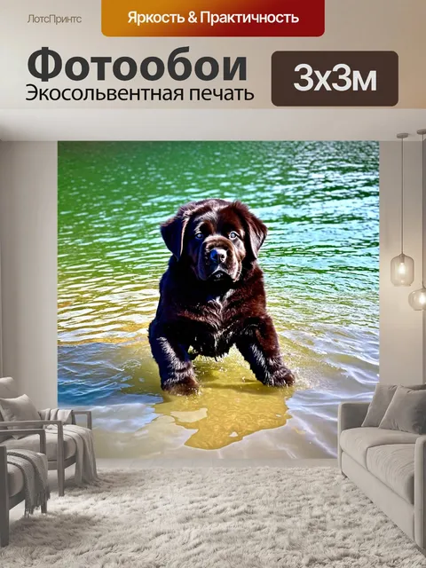Фотообои щенок ньюфаундленда с большими лапами, играющий в воде на отдыхе у озера