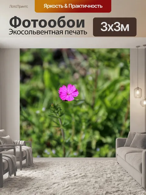 Фотообои Цветочный садик