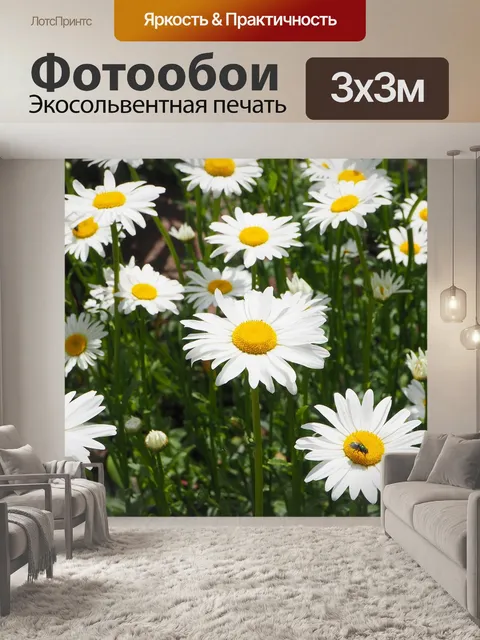 Фотообои Белые ромашки