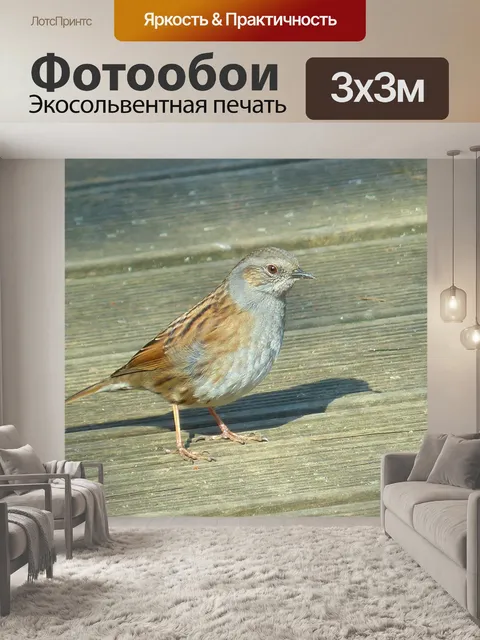 Фотообои Даннок