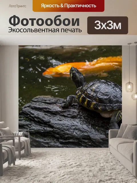 Фотообои черепаха