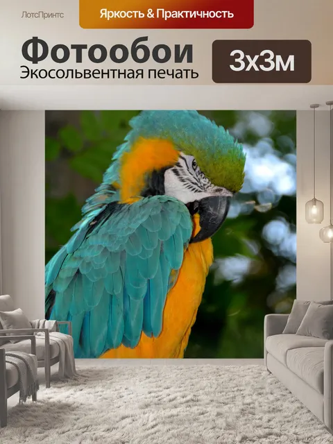 Фотообои Ара попугай