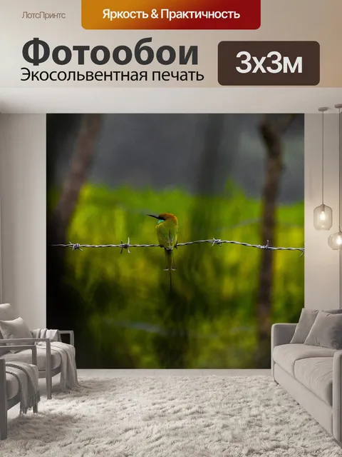 Фотообои Золотистая щурка