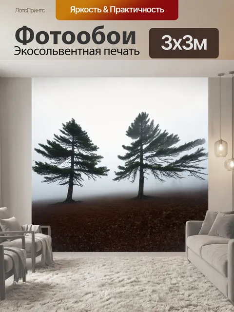 Фотообои густой туман окутывает массив ели, как плотное одеяло, создавая атмосферу уединения и спокойствия
