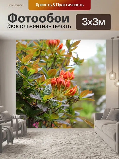 Фотообои Сад