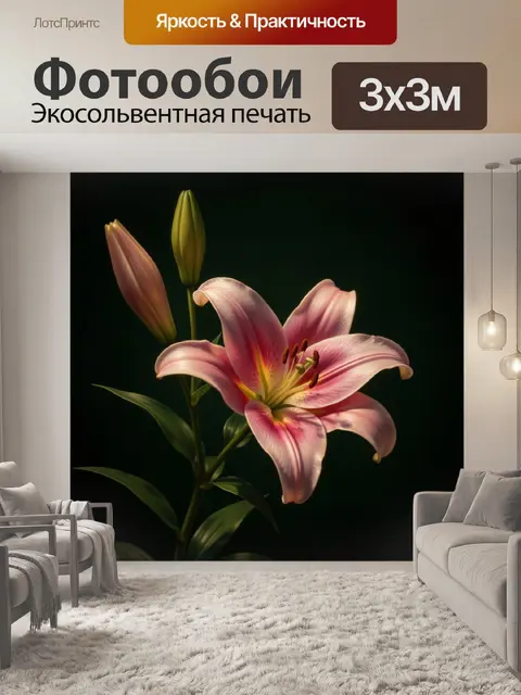 Фотообои Розовая лилия на темном фоне