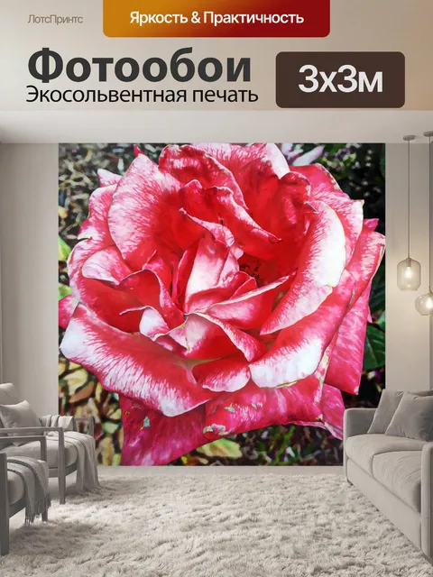 Фотообои Художественная красная роза