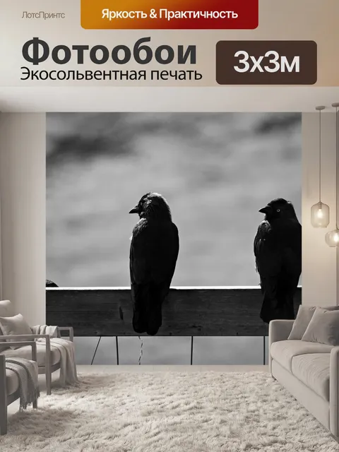 Фотообои Галка