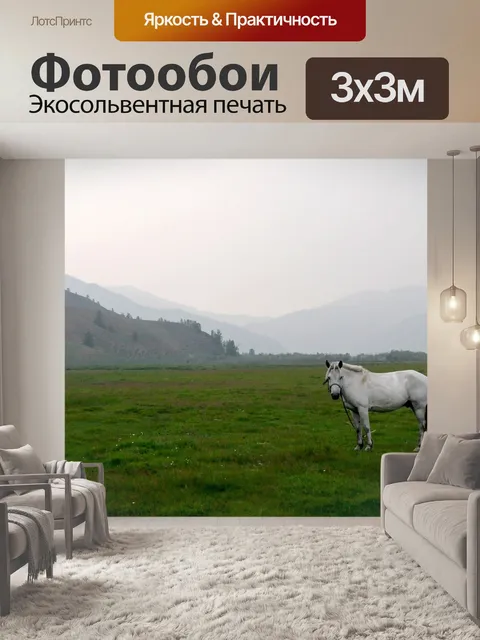 Фотообои Монголия