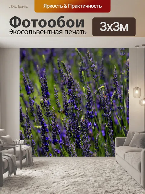 Фотообои Растения лаванды