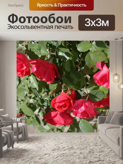 Фотообои Роза
