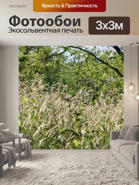 Фотообои Природа