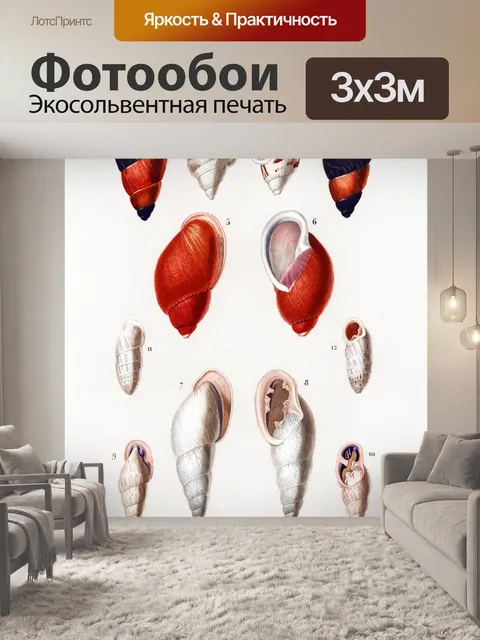 Фотообои Ракушки улитка винтажное искусство