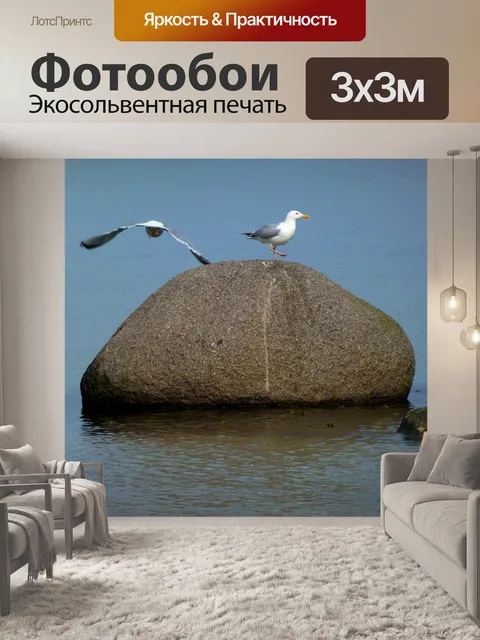 Фотообои Чайка