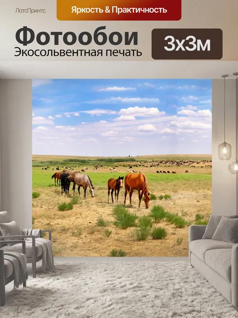 Фотообои Калмыкия