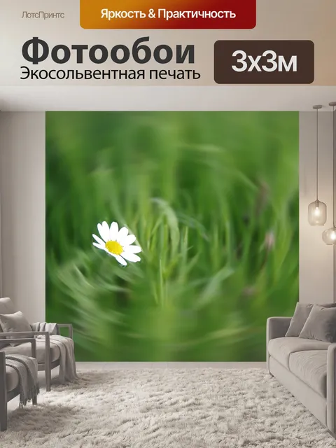 Фотообои Маленький белый цветок в размытии