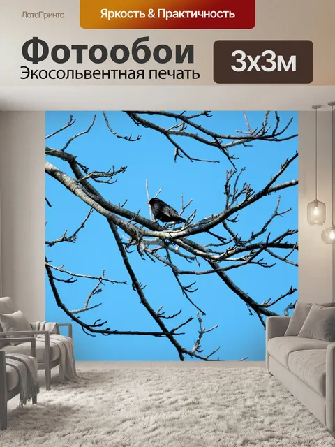 Фотообои Черный дрозд на ветке