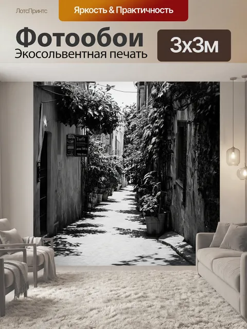 Фотообои классическая черно-белая фотография старинной улицы