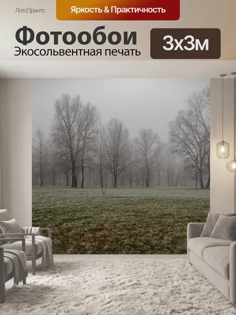 Фотообои Туман