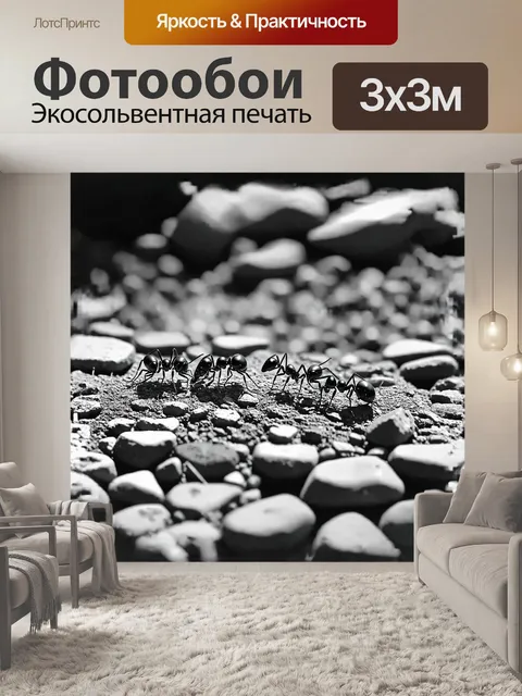 Фотообои на каменной поверхности три муравья перемещаются в поисках пищи, оставляя за собой маленькие следы