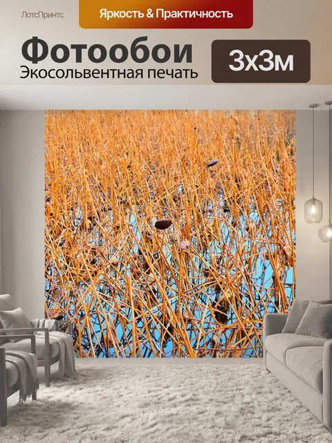 Фотообои Рид