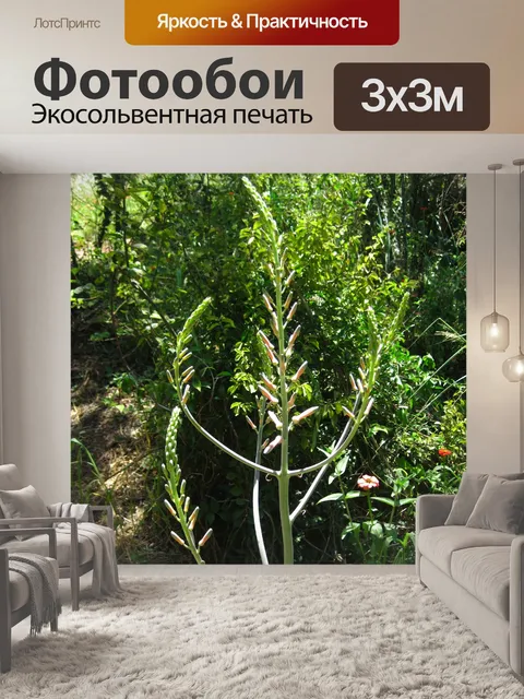 Фотообои высокие арочные стебли с бутонами