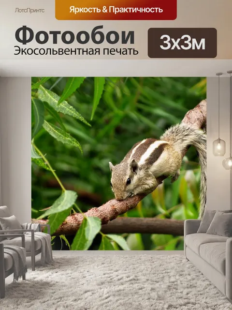 Фотообои Животное
