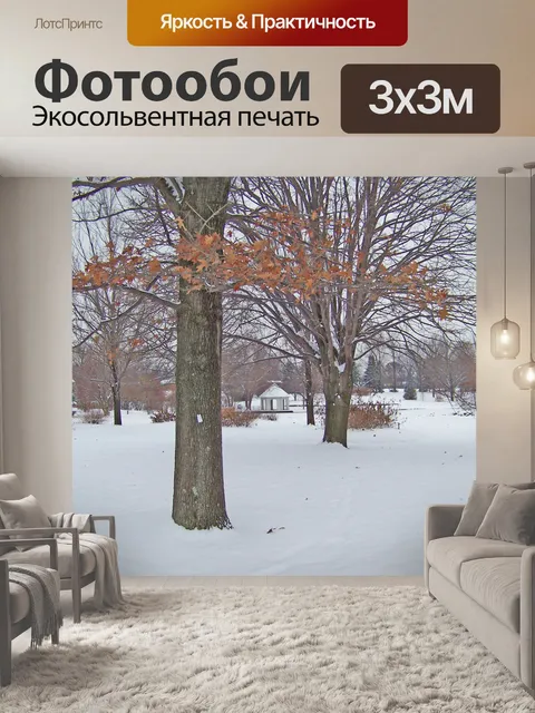 Фотообои Снежный день в парке