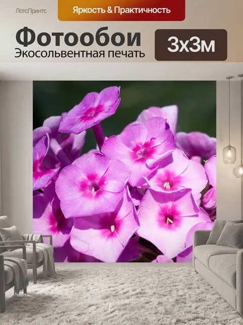 Фотообои Сад флокс
