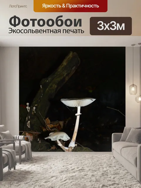 Фотообои Призрачный рост